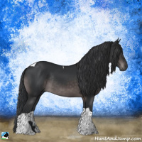 Horse Color:Platinum Brown Tobiano Rabicano 