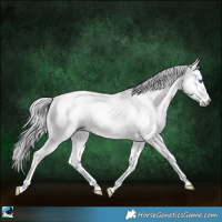 Horse Color:Gray Platinum Silver Amber Cream Champagne Roan Onyx Splash Tobiano Rabicano 