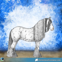 Horse Color:Platinum Brown Roan Tobiano Appaloosa Rabicano 