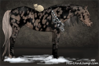 Horse Color:Void Silver Blue Roan Tobiano Near Leopard 