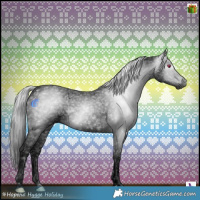 Horse Color:Gray Void Silver Black Chinchilla Splash Tobiano 