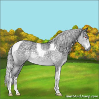 Horse Color:Silver Blue Chinchilla Roan Tobiano 