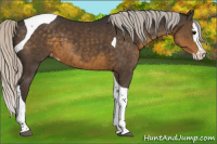Horse Color:Silver Smoky Black Splash Tobiano Appaloosa 