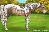 Horse Color:Silver Smoky Black Splash Tobiano
