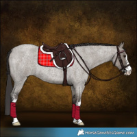 Horse Color:Smoky Grullo Roan Sabino 