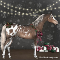 Horse Color:White Spotted Liver Chestnut Mushroom Appaloosa