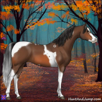Horse Color:Bay Splash Tobiano 