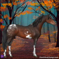Horse Color:Brown Tobiano 