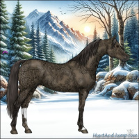 Horse Color:Smoky Grullo Ice 