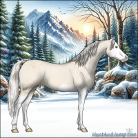 Horse Color:Silver Classic Champagne Dun Splash Varnish 