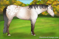 Horse Color:Gray Amber Champagne Blanket