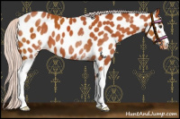 Horse Color:White Spotted Chocolate Silver Bay Near Leopard 