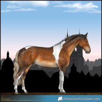 Horse Color:Chocolate Palomino Tobiano 