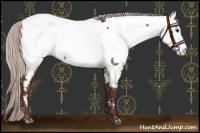 Horse Color:Chocolate Silver Bay Appaloosa Rabicano 