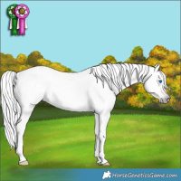 Horse Color:Gray Silver Classic Champagne Sabino Splash Tobiano 