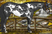 Horse Color:Black Frame 