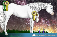 Horse Color:Gray Silver Smoky Creme Sabino Splash Tobiano Appaloosa