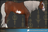 Horse Color:Silver Bay Frame 