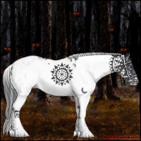 Horse Color:Black Splash Tobiano