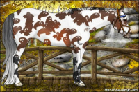 Horse Color:Bay Sabino Splash Tobiano Frame