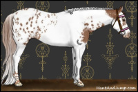 Horse Color:Chestnut Splash Tobiano Frame Appaloosa
