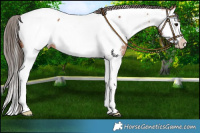 Horse Color:Bay Splash Near Fewspot 