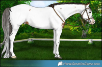 Horse Color:Bay Splash Near Fewspot