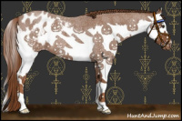 Horse Color:Red Roan Splash Appaloosa