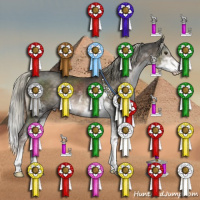 Horse Color:Liver Chestnut Mushroom Sabino 