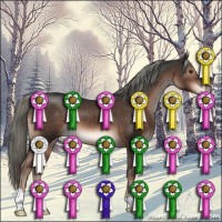 Horse Color:Liver Chestnut Mushroom 