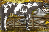 Horse Color:Smoky Black Splash Tobiano 