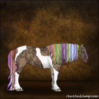 Horse Color:Painted Red Dun Ice Tobiano 