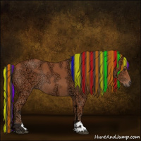 Horse Color:Painted Bay Ice Sabino Rabicano 