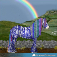 Horse Color:Painted Silver Brown Ice Sabino Rabicano and Watercolor Liver Chestnut Ice Sabino Splash Rabicano