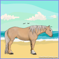 Horse Color:Watercolor Palomino Sabino Rabicano 