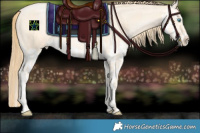 Horse Color:Buckskin Roan Pearl and Buckskin Roan Pearl Splash