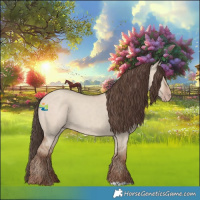 Horse Color:Classic Champagne Dun 