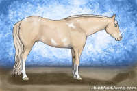 Horse Color:Chocolate Palomino Pearl Tobiano Frame  and Palomino Pearl Tobiano Frame 