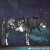 Horse Color:White Spotted Black Sabino Frame 