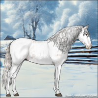 Horse Color:White Spotted Silver Bay Splash Appaloosa 