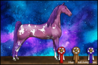 Horse Color:Watercolor White Spotted Bay Appaloosa 