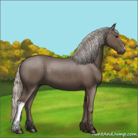 Horse Color:Silver Black 