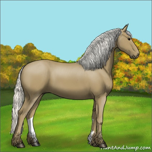 Horse Color:Silver Smoky Black 