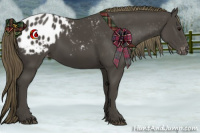 Horse Color:Smoky Black Appaloosa