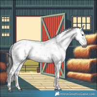 Horse Color:Gray Black Sabino 