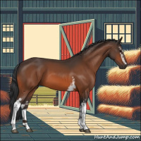 Horse Color:White Spotted Brown 