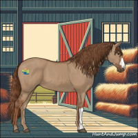 Horse Color:Red Dun 