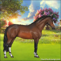 Horse Color:Brown Sabino 