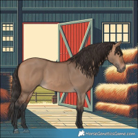 Horse Color:Bay Dun