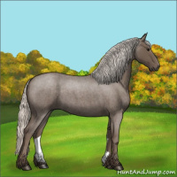 Horse Color:Silver Blue Roan